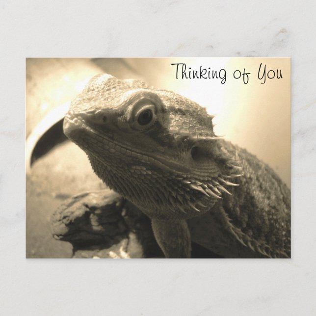 Pensando no seu cartão postal (Frente)