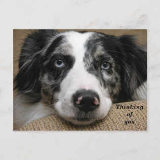 Pensando no seu cartão postal