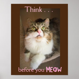 Pense antes que você Meow (impressão do poster d
