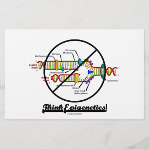 Pense em Epigenética! (Replicação de DNA de exclus