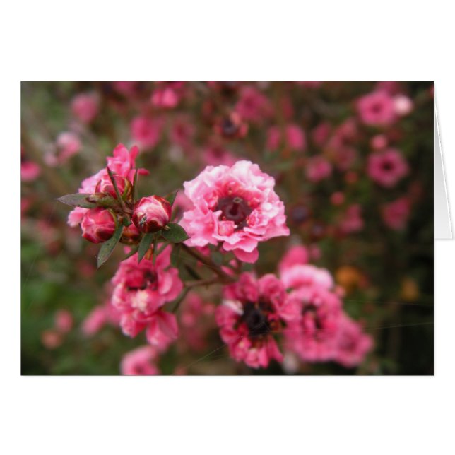 Pense no cartão cor-de-rosa (Frente Horizontal)