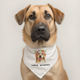 Pentes de Cães