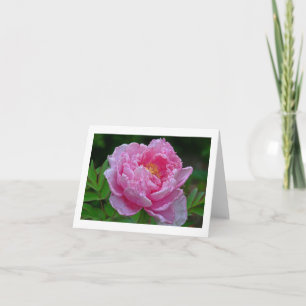 "PEÔNIA COR-DE-ROSA" CARTÃO (FOTOG)