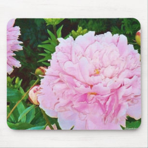 Peônia Mousepad