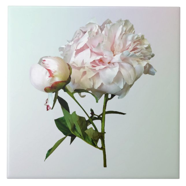 Peônia Rosa Pálida e Botão (Frente)