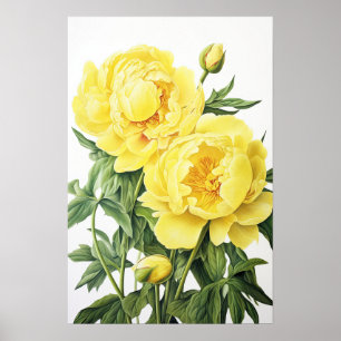 Peônias amarelas Impressão de arte floral