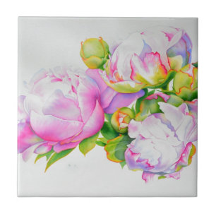 Pêonias, cor de rosa, branca, cor de água floral