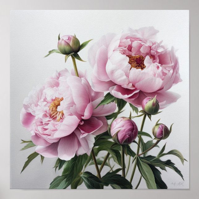 Peônias cor-de-rosa Impressão (Frente)