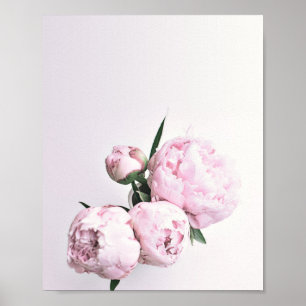 Peony Art Rosa, Rosa, Impressão, Poster cor-de-ro