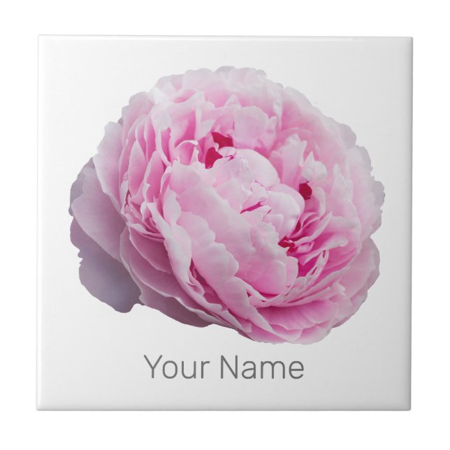 Peony Blossom Rosa Para Flor E Lover De Jardim (Frente)