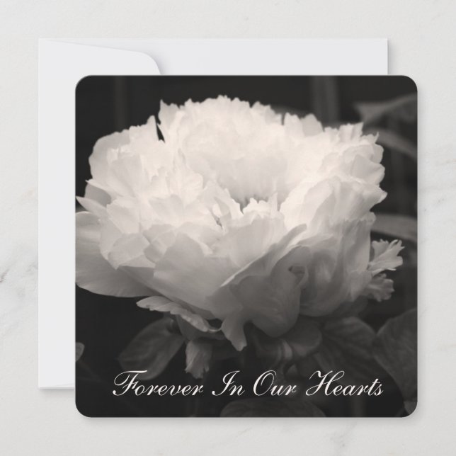 Peony Floral Fotografia 2 Anúncio Funeral (Frente)