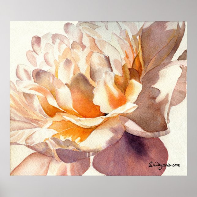 Peony White Watercolor Poster (Frente)