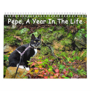 Pepe, Um Ano No Calendário De Vida