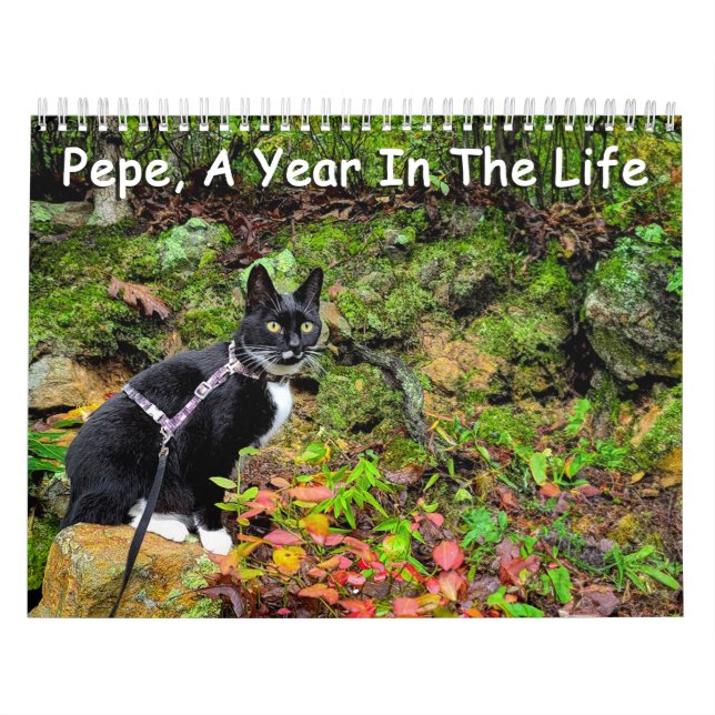 Pepe, Um Ano No Calendário De Vida (Capa)