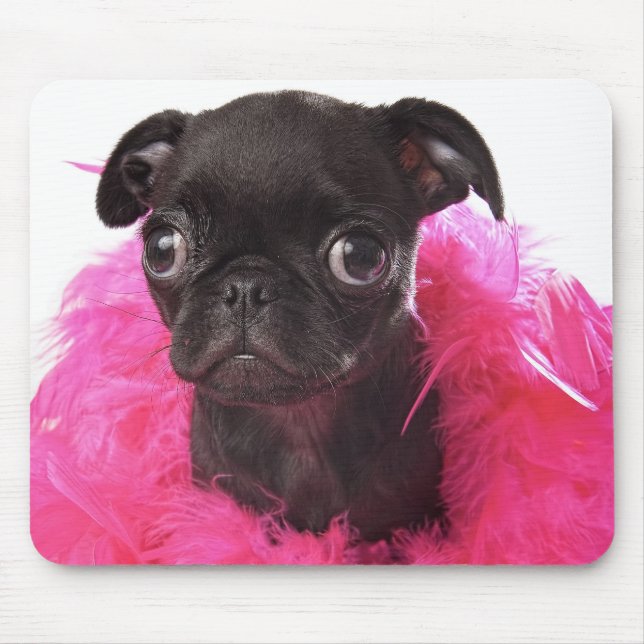 Pepita APARN SpokesPug Mousepad (Frente)