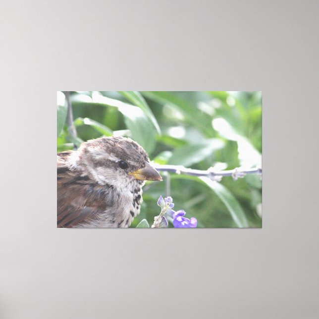 Pequena Canvas de Arte (Frente)