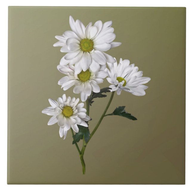 Pequena Daisy Olhando (Frente)