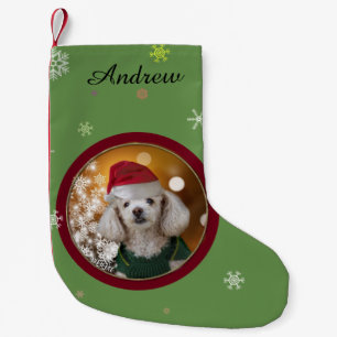 Pequena Meia da caniche de brinquedo do Natal