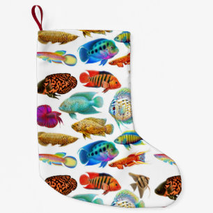 Pequena Meia de água doce do Natal dos peixes do aquário