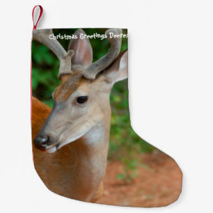 Pequena Meia de Natal