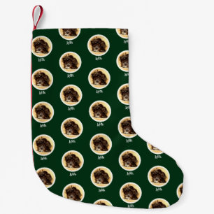 Pequena Meia de Natal Verde com Cachorro Schnoodle