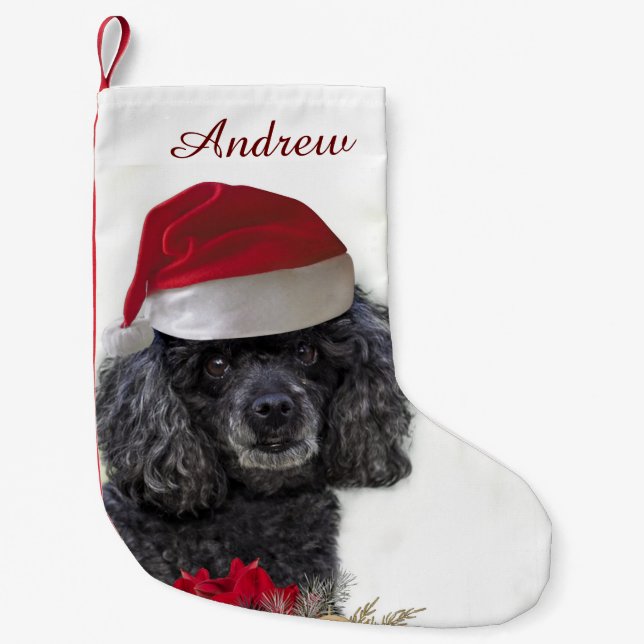 Pequena Meia personalizada do cão de caniche do Natal (Frente)