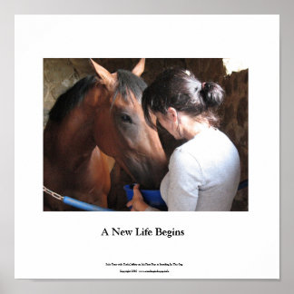 Pequena Poster Solo Tour e Darla Jeffery