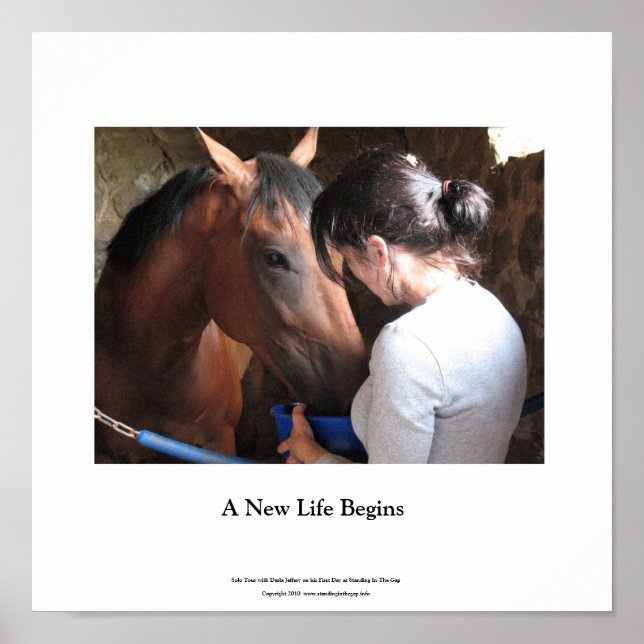 Pequena Poster Solo Tour e Darla Jeffery (Frente)