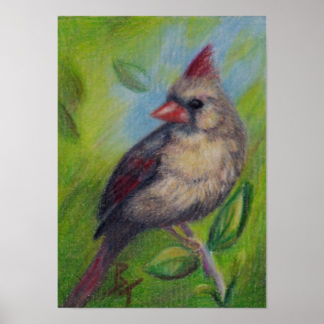 Pequena Senhorita Cardinal aceo Poster (Frente)