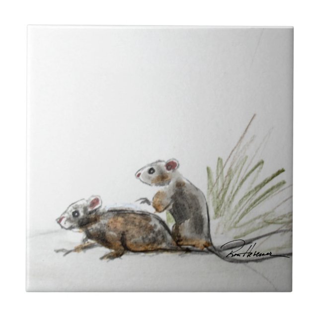 Pequenas Coisas (Frente)