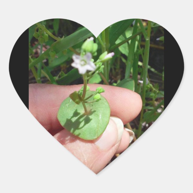 Pequenas Coisas em forma de coração adesivo (Frente)