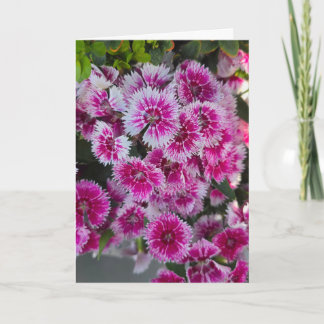 Pequenas Flores Cor-de-Rosa Cartão Sem Texto