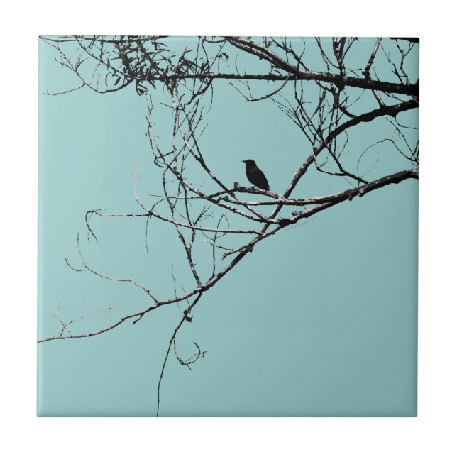 Pequeno Azulejo de Pássaro Negro (Frente)
