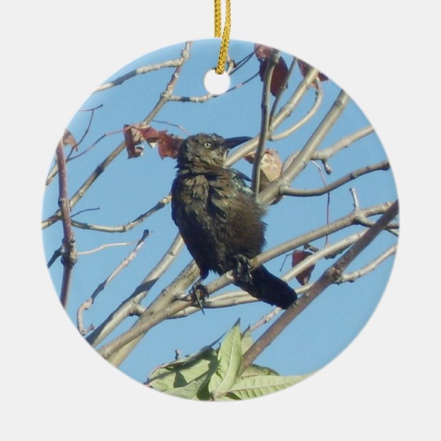Pequeno Birdie em Ornamento Memorial de Árvore (Frente)