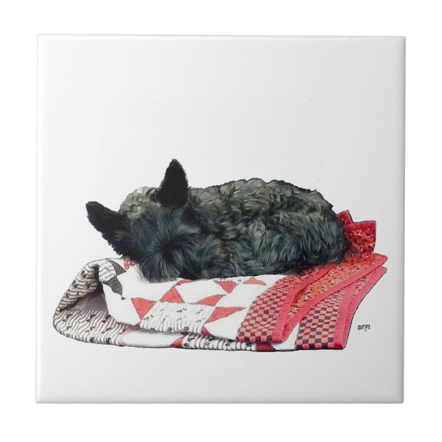Pequeno Cachorro Scottie Adormecido (Frente)