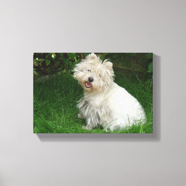 Pequeno Cão Branco na Canvas (Frente)
