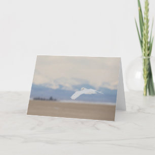 Pequeno, Cartões de agradecimentos dobrado de 4" x