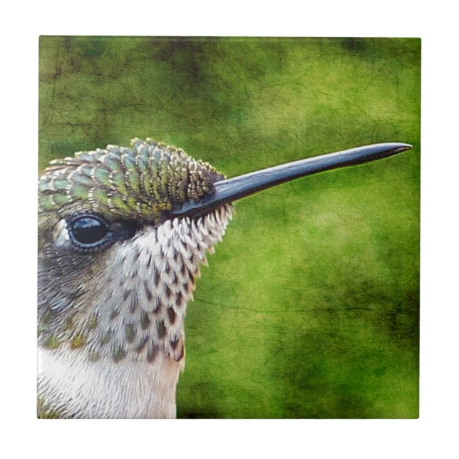 Pequeno Hummer (Frente)