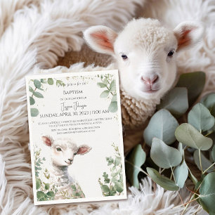 Pequeno Lamb bebê e Eucalyptus baptism Convite