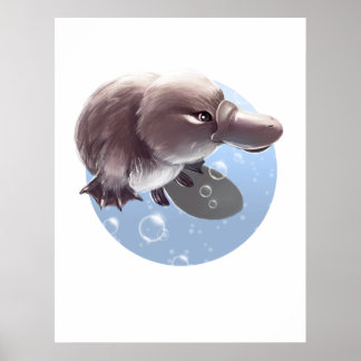 Pequeno Platypus Brilhante, Poster de Impressão il
