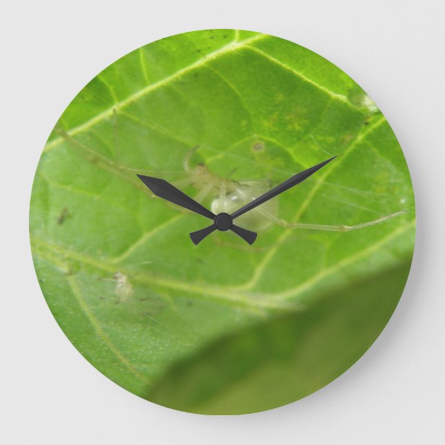 Pequeno Relógio de Parede de Aranha (Frente)