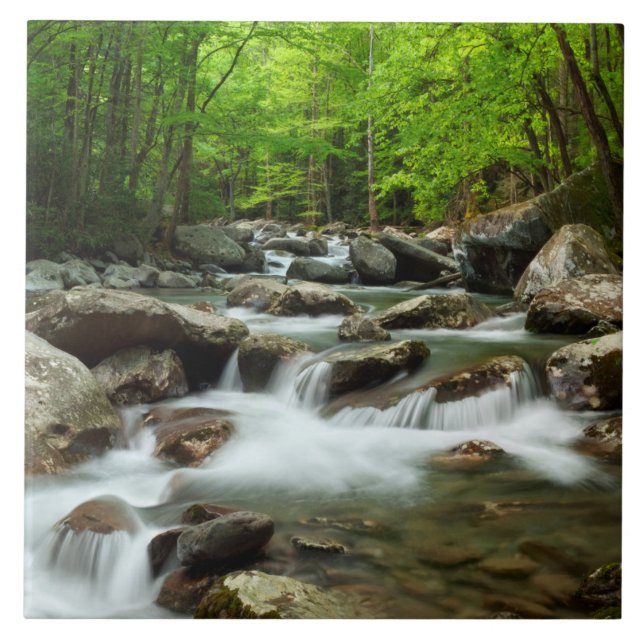 Pequeno Rio Pombo em Greenbrier (Frente)