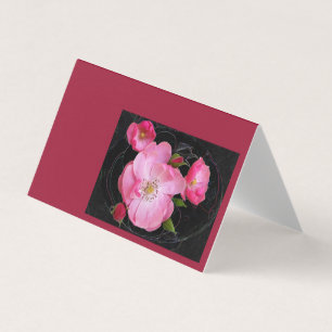 pequeno rosebud abre