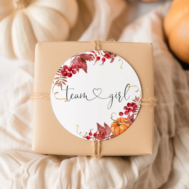 Pequenos adesivos da equipe laranja da abóbora (Criador carregado)