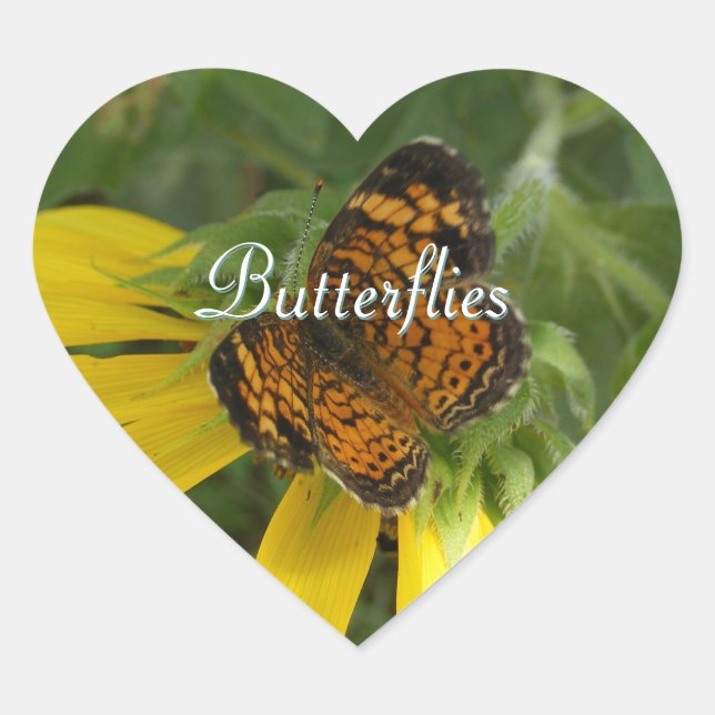 Pequenos adesivos de borboletas (Frente)