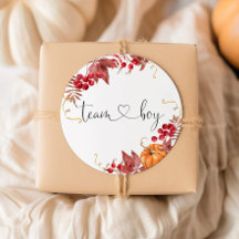 Pequenos adesivos do time de abóbora laranja