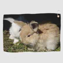 Pequenos coelhos fofos bonitos