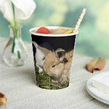 Pequenos coelhos fofos bonitos