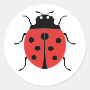 Pequenos e bonitos adesivos de joaninha!
