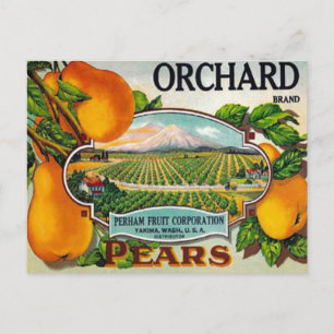 Pêras da Orchard Vintage Cartão Postal